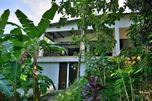 Palomino House | Casa AliBri