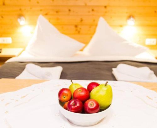 Cortina d'Ampezzo Apartment | Casa Alpino Surgan