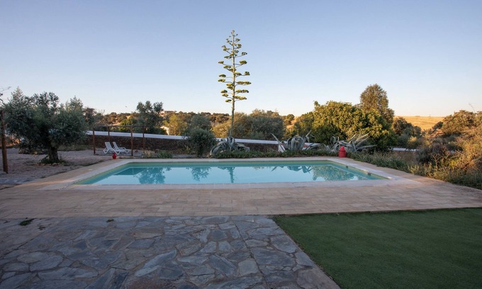 Terena House | Casa AMARELA - inOrganic farm in Terena - Alentejo, Portugal