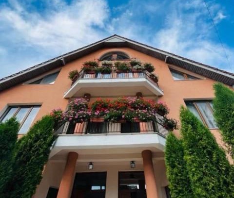 Moneasa Villa | Casa Ana