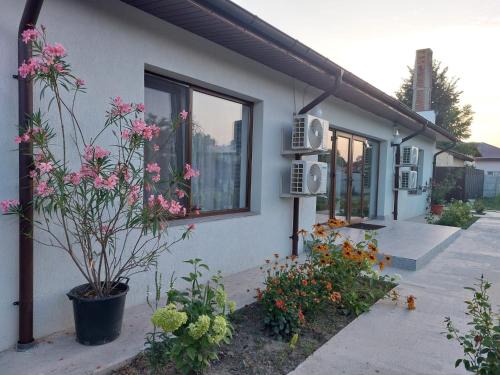 Cruset House | Casa Anais