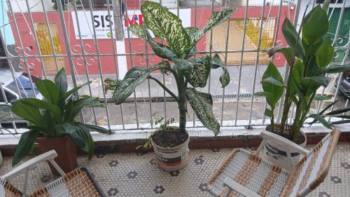 Cidade Velha House | casa antiga