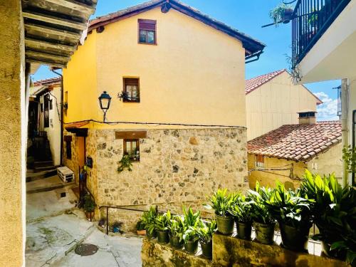 Pedro Bernardo House | Casa Artista