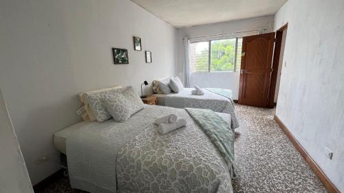 Guatemala City House | CASA AZALEA