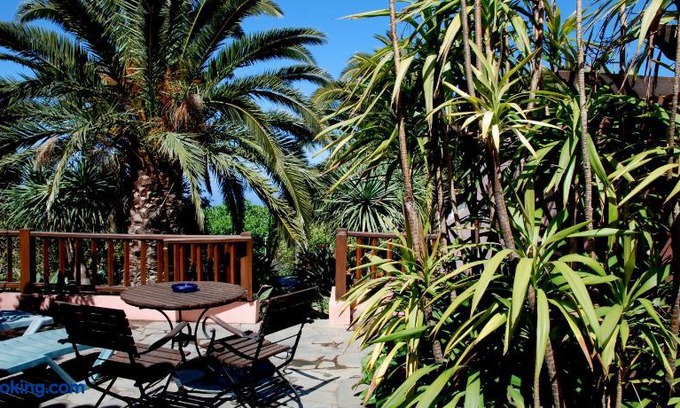 El Paso House | Casa Bana 2