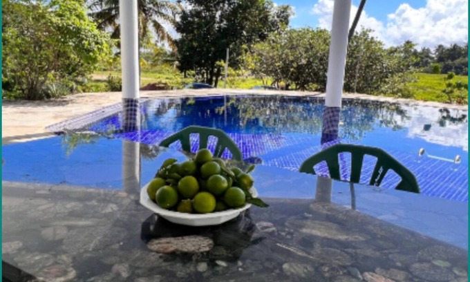 Barra do Sirinhaem House | Casa Beira-mar, Litoral Pernambucano, com Piscina