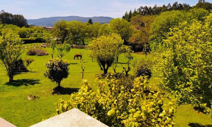 A Caniza Villa | Casa Cañiza (319), large farm with natural pool