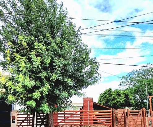 Alto Mieres House | Casa Chalet 6 personas