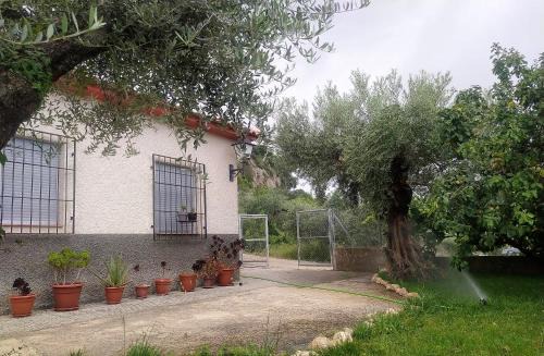 Letur House | Casa Chorreón
