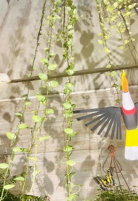 Val-de-Caes House | Casa climatizada Belém