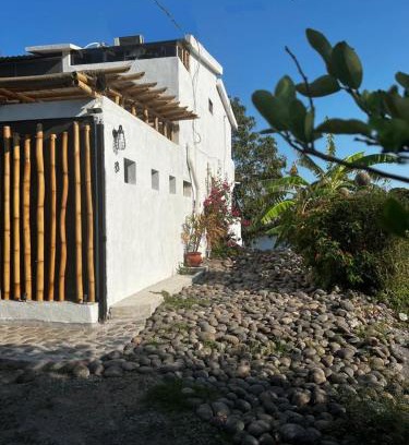 Ursulo Galvan House | Casa Cocodrilo