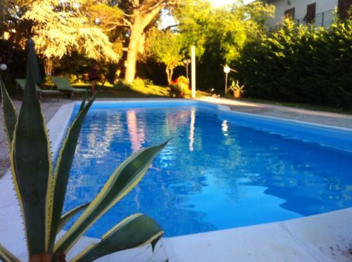 Cairo Montenotte Apartment | Casa Coiri
