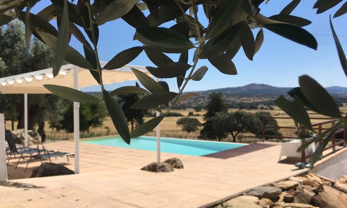 Fortios Other | Casa Cordovil - Almojanda 3 Olive Tree