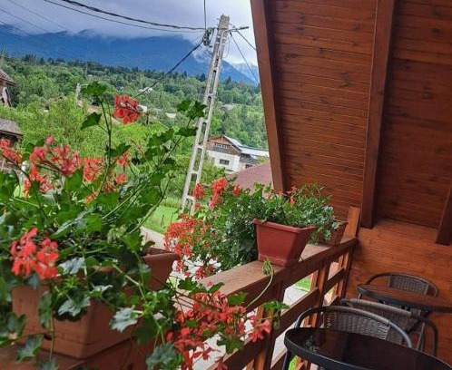 Moisei Villa | Casa Cristiana Moisei