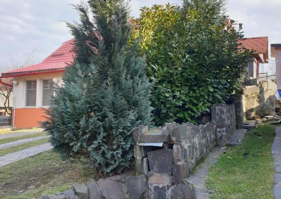 Pomi House | Casa cu fantana