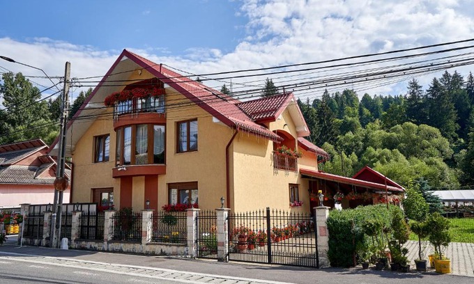 Moisei House | Casa cu Flori Moisei