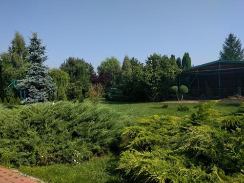 Maracineni House | Casa cu pauni