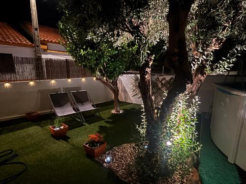 Castro Verde House | Casa D' Oliveira