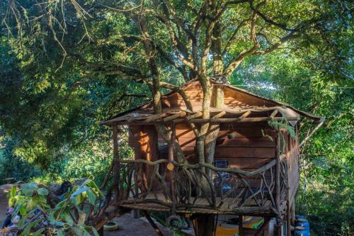 Ouro Preto House | Casa da Árvore