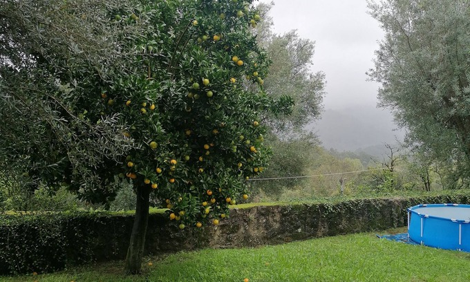 Bouro House | CASA DA ADEGA nInserida em pequena aldeia pacata em terras de Bouro, GERÊS