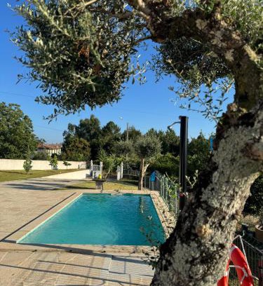 Vila Verde House | Casa Da Aldeia