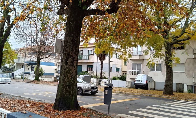 Braga Villa | Casa da Ana