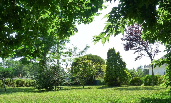 Aveiro Villa | Casa da Balseira a serene stay nearby Aveiro