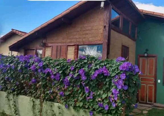 Carrancas House | Casa da Bela Vista