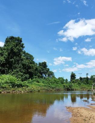 Ubatumirim House | casa da mata