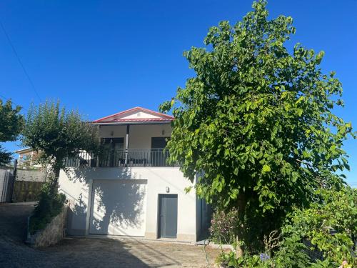 Mondim de Basto House | Casa da Mini
