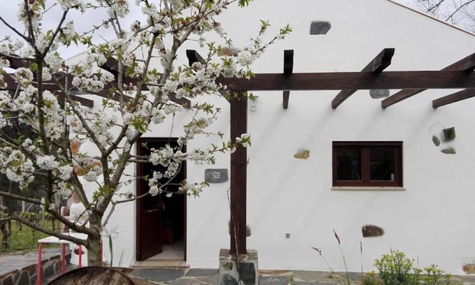 Figueira de Lorvao House | Casa da Tileira