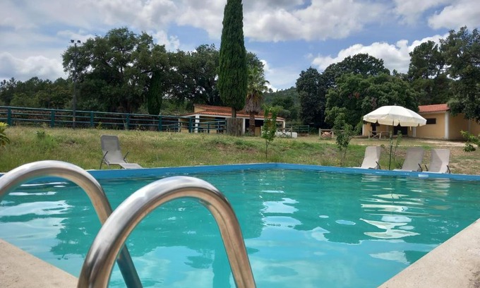 Fundao House | Casa da Vinha