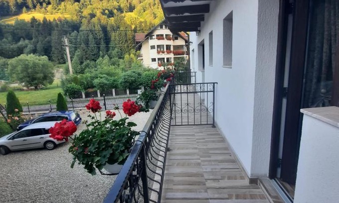Moeciu de Sus House | Casa Dana Olteanu