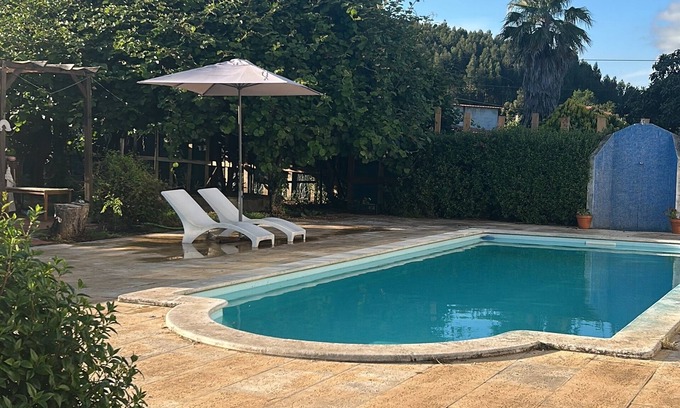 Castanheira de Pera House | Casa das Camélias Tortas, charming and welcoming