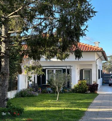 Aveiro House | Casa das Camélias