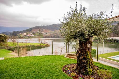 Guilhofrei Villa | Casa das Oliveiras