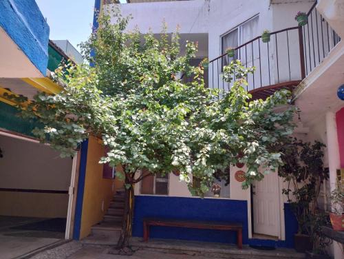 Jimenez House | CASA de HUESPEDES del SOL BARBON