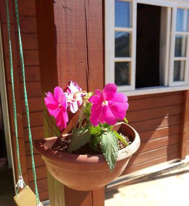 Sao Lourenco House | Casa de Madeira