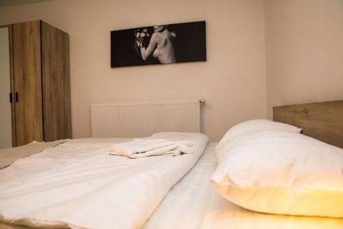 Tirgu Mures Apartment | Casa de Oaspeti CBK