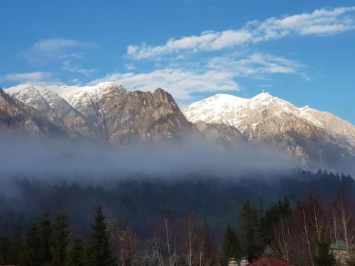 Poiana Tapului House | Casa de vacanță Ana, Bușteni
