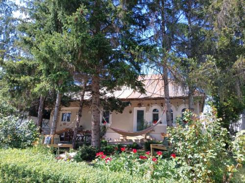 Sud-Vest House | Casa de Vacanta Nora