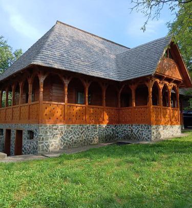 Ocna Sugatag House | Casa de vacanta Padis