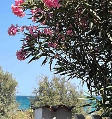 Maddalenedda Apartment | Casa dell'Oleandro con vista mare - IUN Q1269