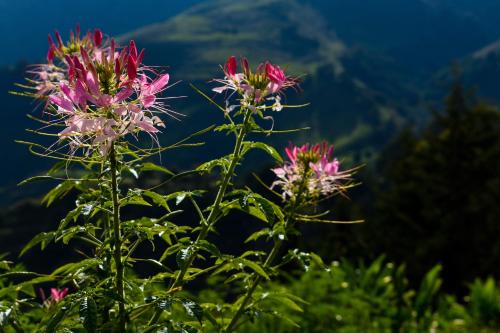 Santa Barbara Apartment | Casa Descanso en el Campo con Hermosa Vista a los Farallones