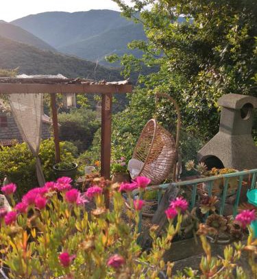 Loreto-di-Tallano Apartment | Casa Di mamou