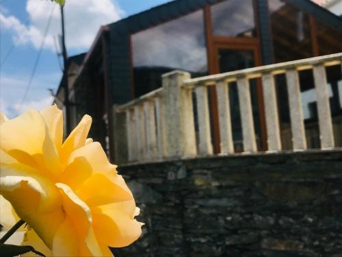 Campea House | "Casa Do Avô Patrício" Mountain Experience
