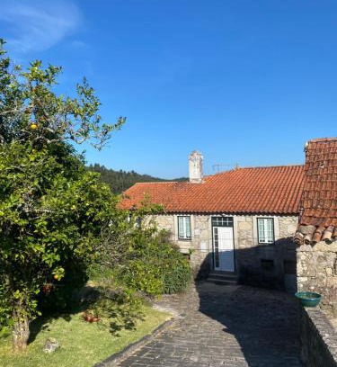 Vila Praia de Ancora House | Casa do Carqueijo