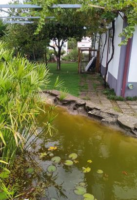 Vila de Rei House | Casa do Lago