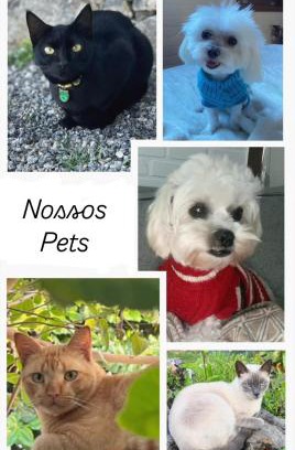 Itauna House | Casa do Point