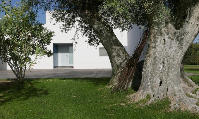 Alvito House | Casa do Vale da Terra Negra